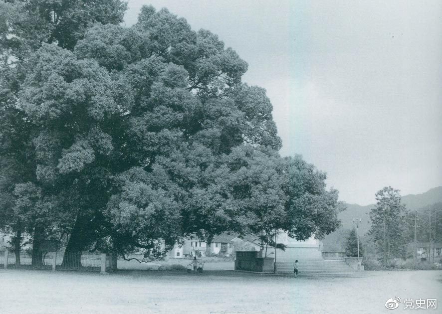 �������¿h�����塣1927��9��29�գ�ë�ɖ|���@���������_ǰί�U����h��������M�иľ����춨�˽��O��������܊꠵Ļ��A��